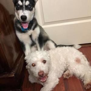 Meet your Posher, Wendy